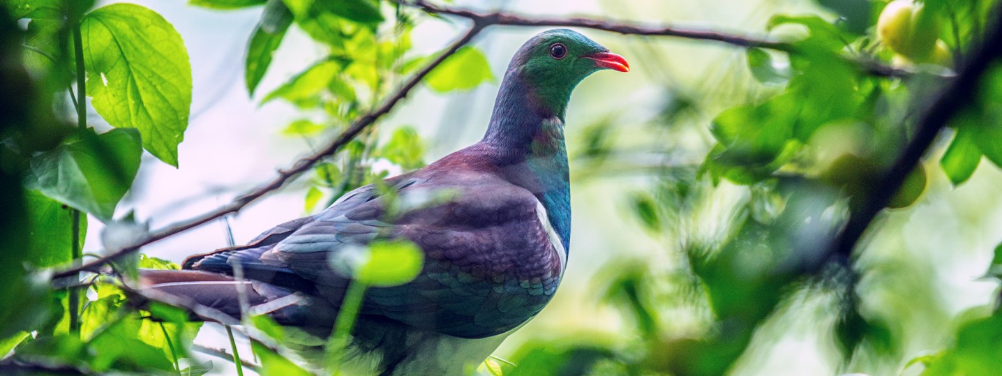 Facts and Science Biodiversity