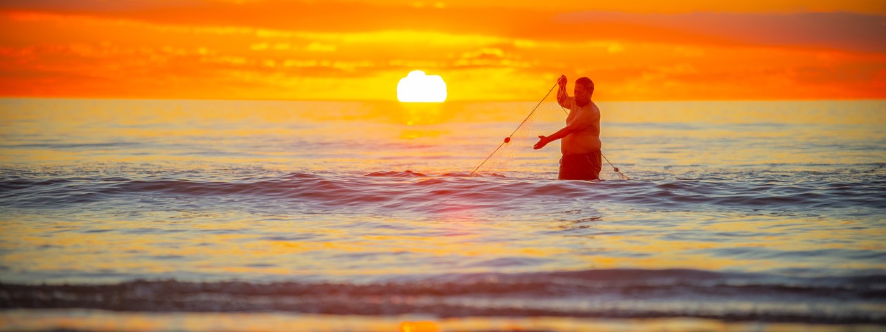 Facts and Science Marine 2