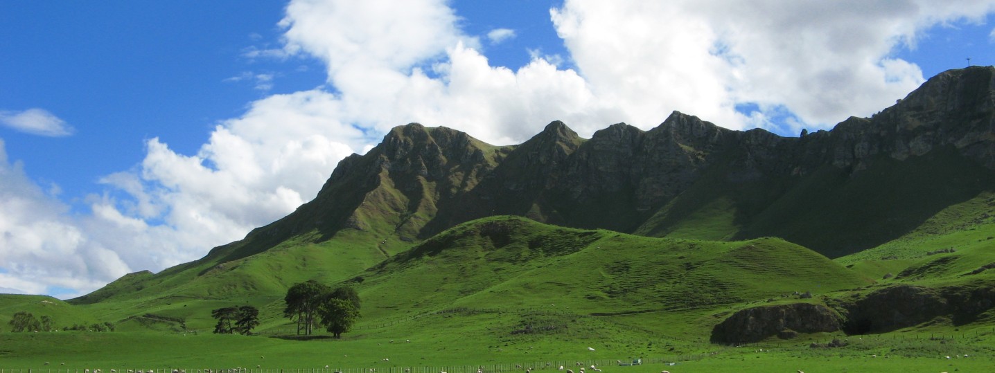 craggy range Craig Salmon
